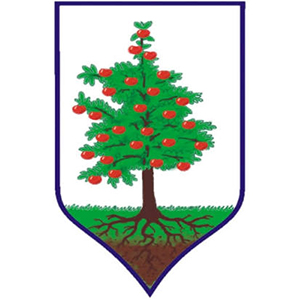 Gmina Obrazów