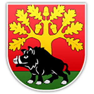 Gmina Stężyca
